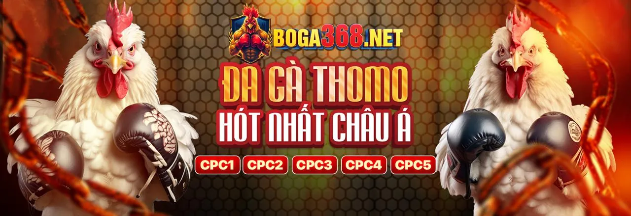 Hỗ trợ khách hàng chuyên nghiệp K8CCC
